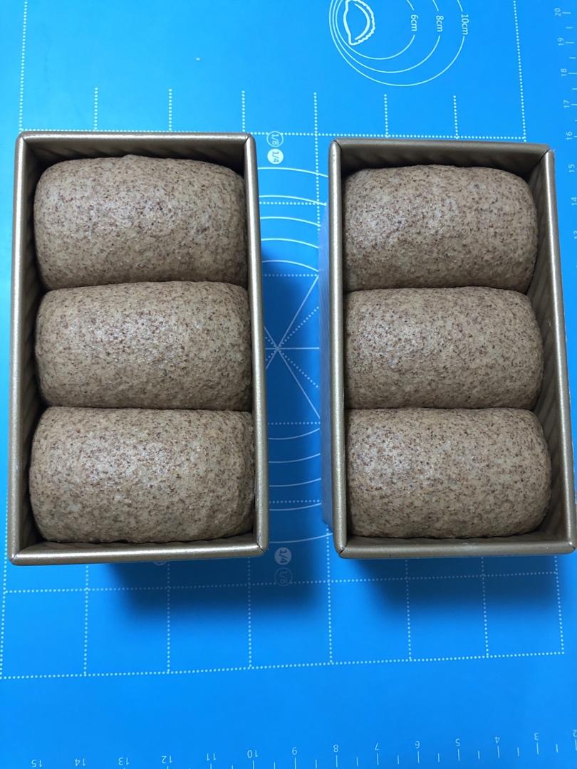 黑麦吐司 70%黑麦 波兰种