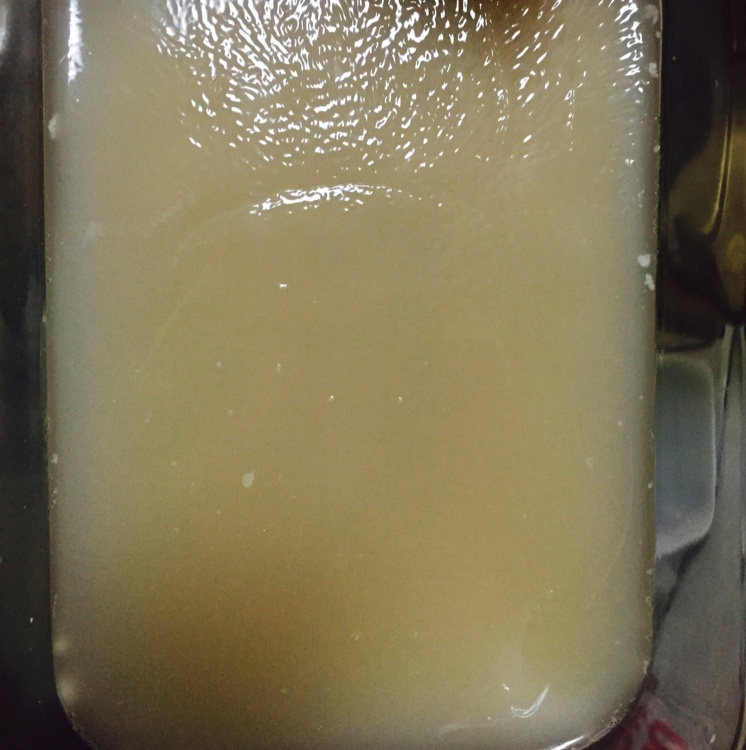 熬制肉皮冻---为小笼包做准备