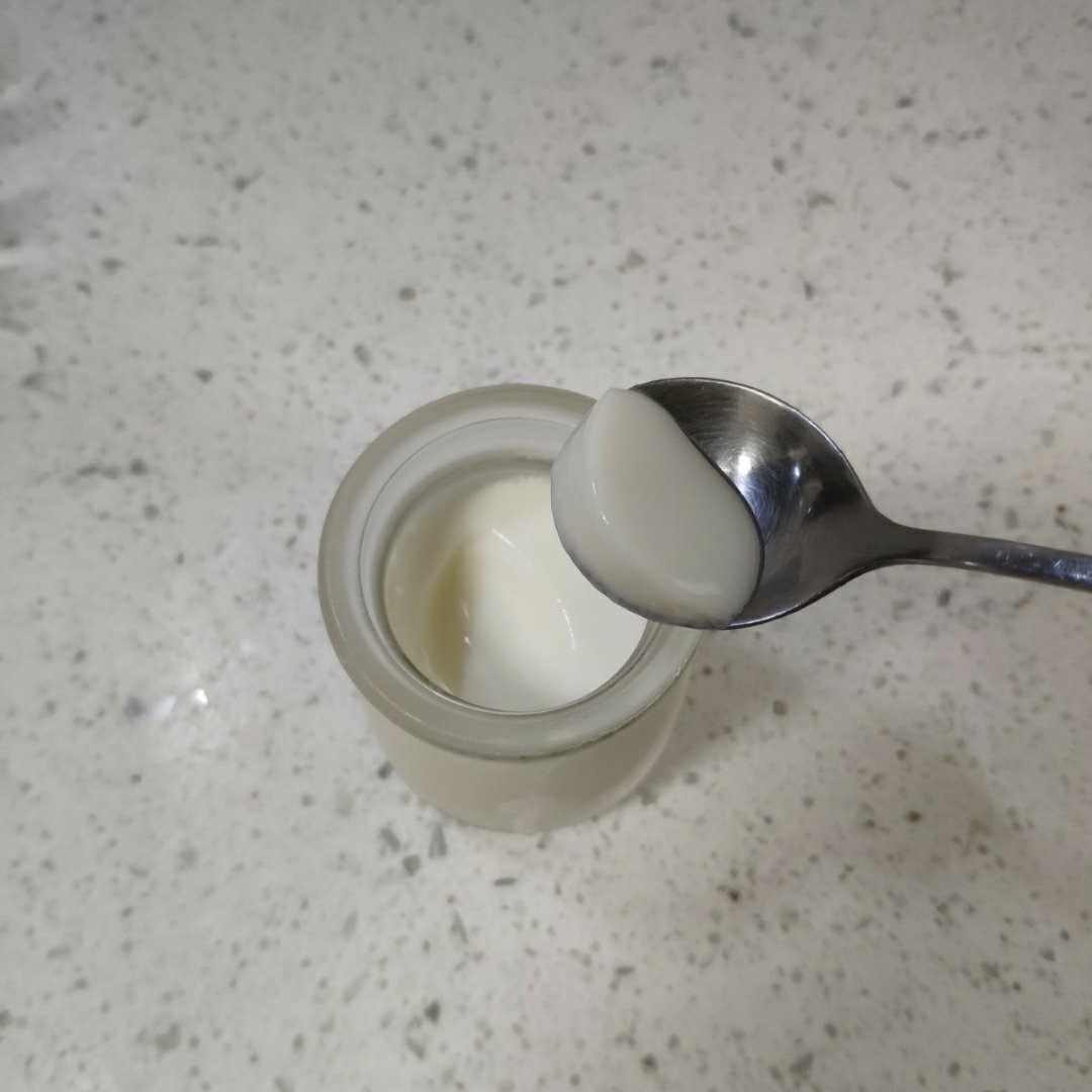 烤箱自制酸奶  Homemade Greek Yoghurt