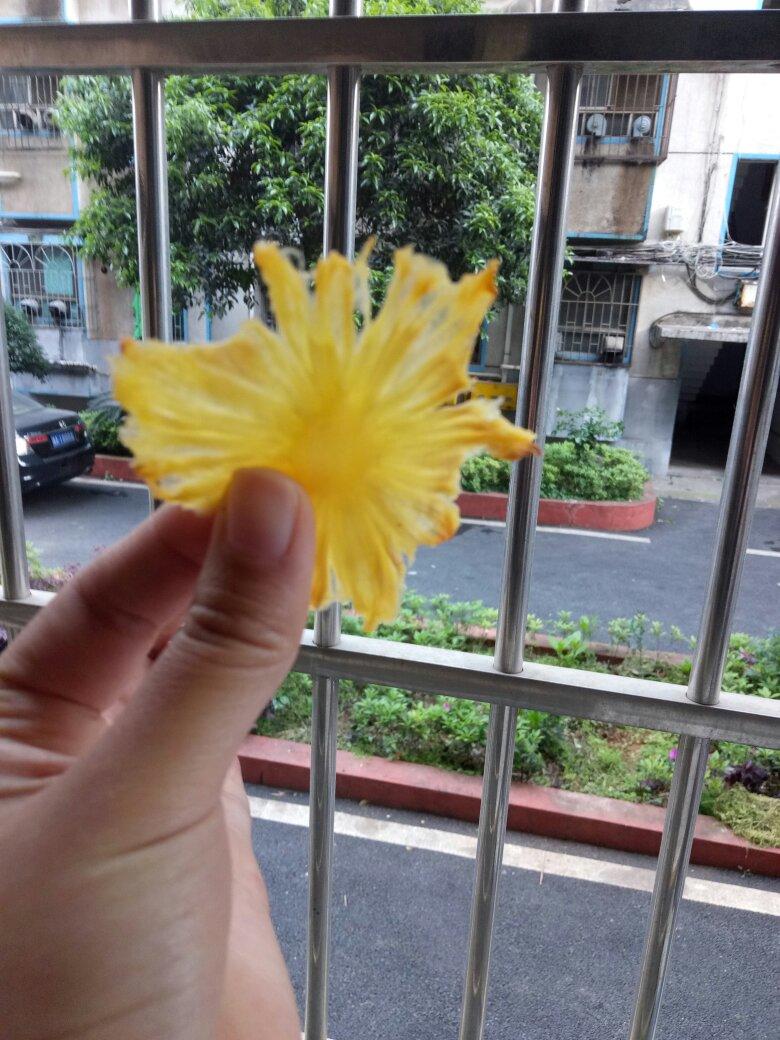 【烤菠萝片】——无负担零食