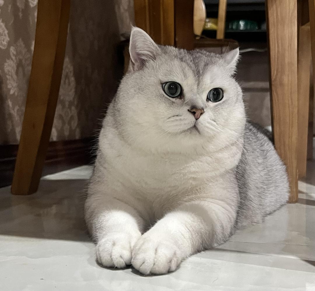 西红柿黄瓜萝卜汁