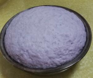 香香软软的紫甘蓝馒头的做法 步骤5