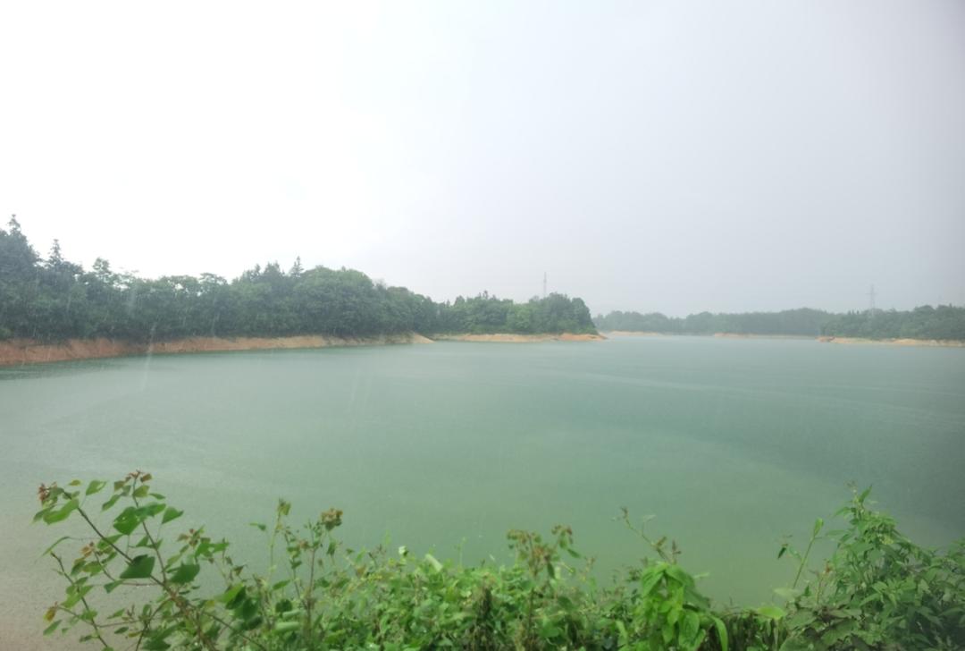 我们的元气厨房