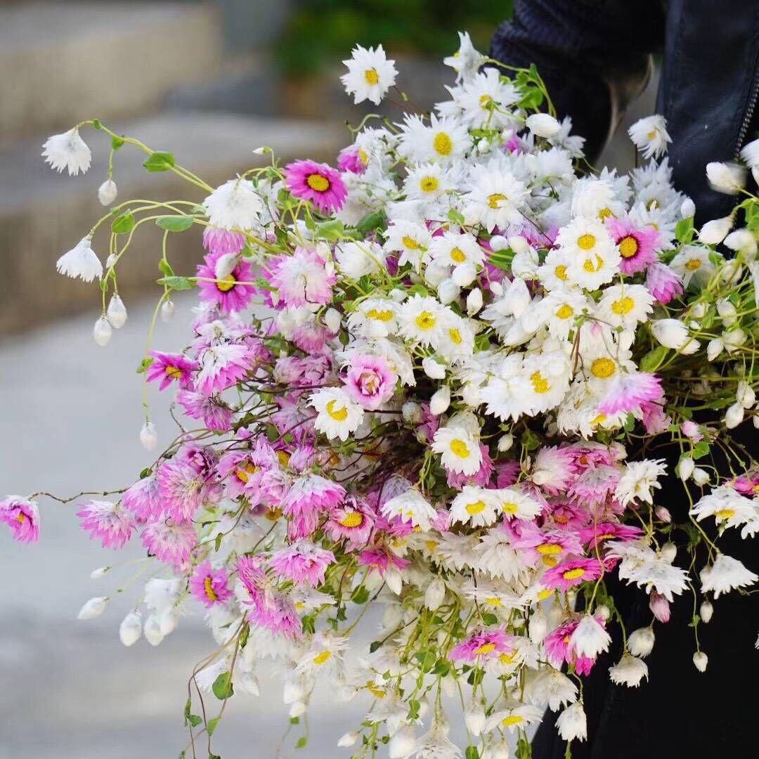 花生闹闹妈