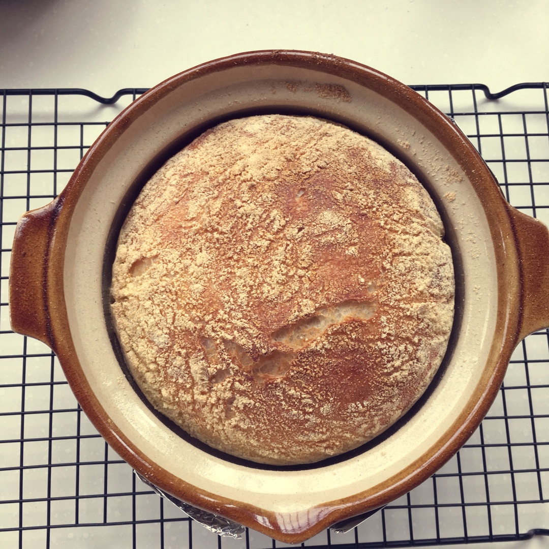 欧包/乡村面包-无油不用揉 No Knead Bread