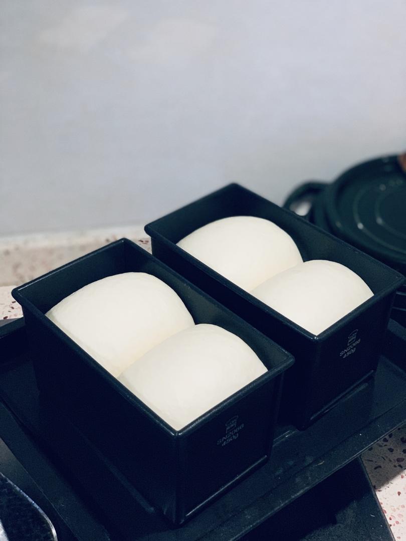 酸奶吐司（100%中种法）可以吃到酸奶的吐司