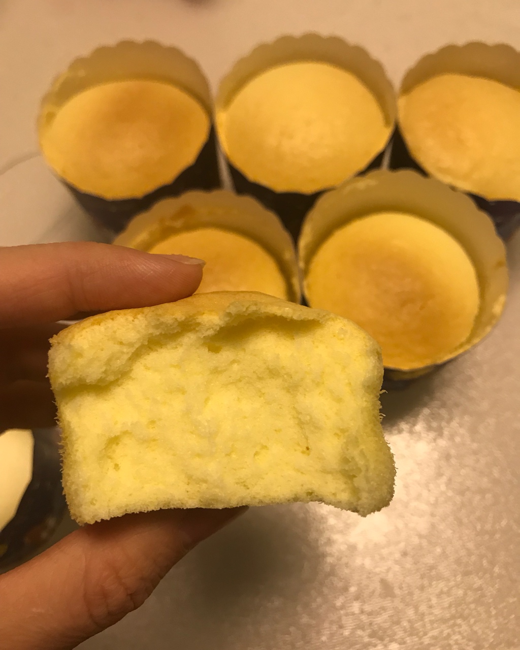 不回缩杯子蛋糕cupcake