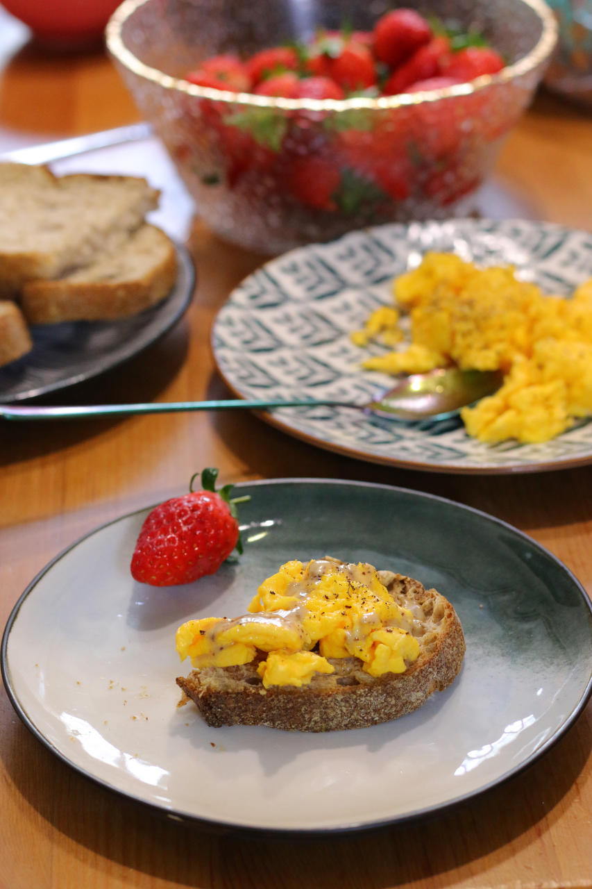 毛猫的三餐四季