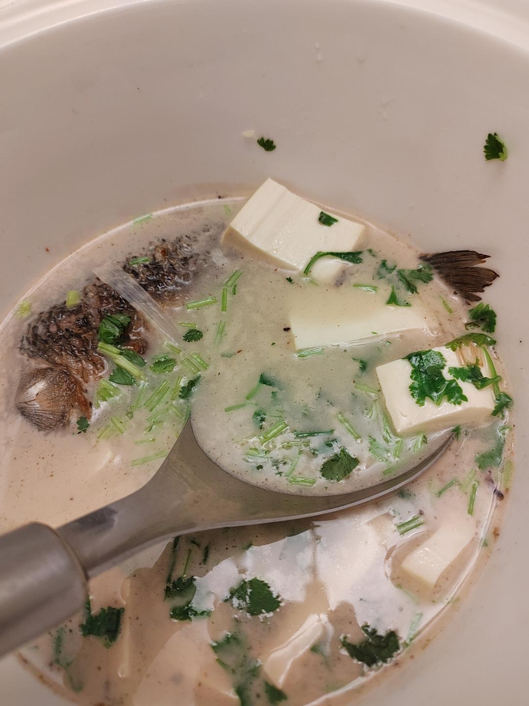 鲫鱼汤(鲫鱼豆腐汤)