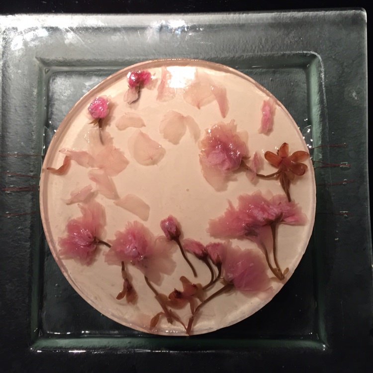 要的就是小清新：樱花冻芝士蛋糕