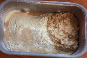 松软细腻的燕麦小餐包（Oatmeal Dinner Rolls）的做法 步骤4