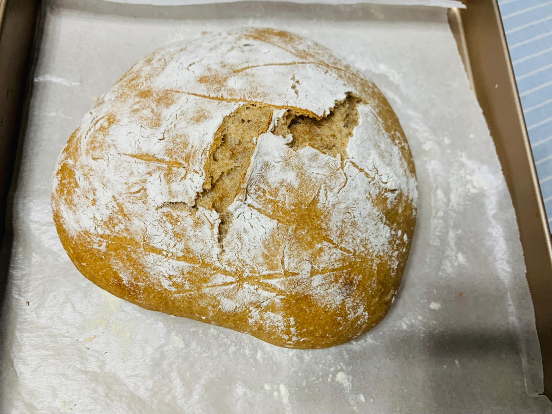 免揉欧包（全麦版本）