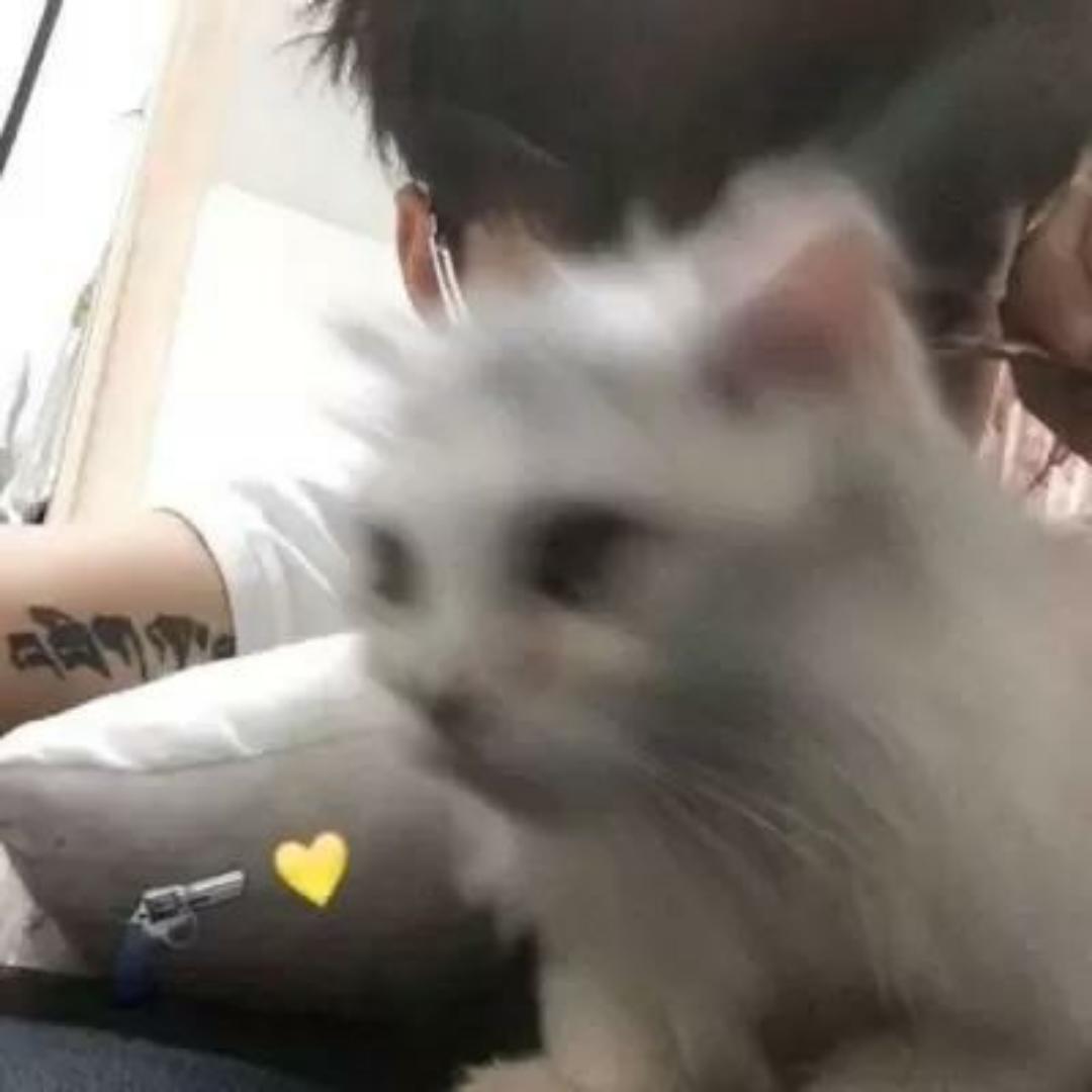 问呺