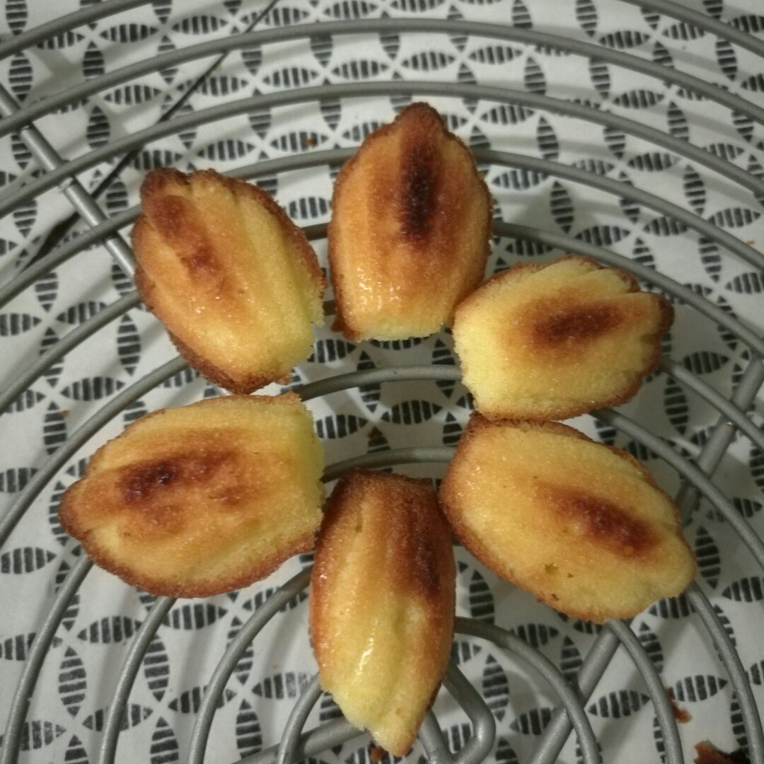 玛德琳蛋糕