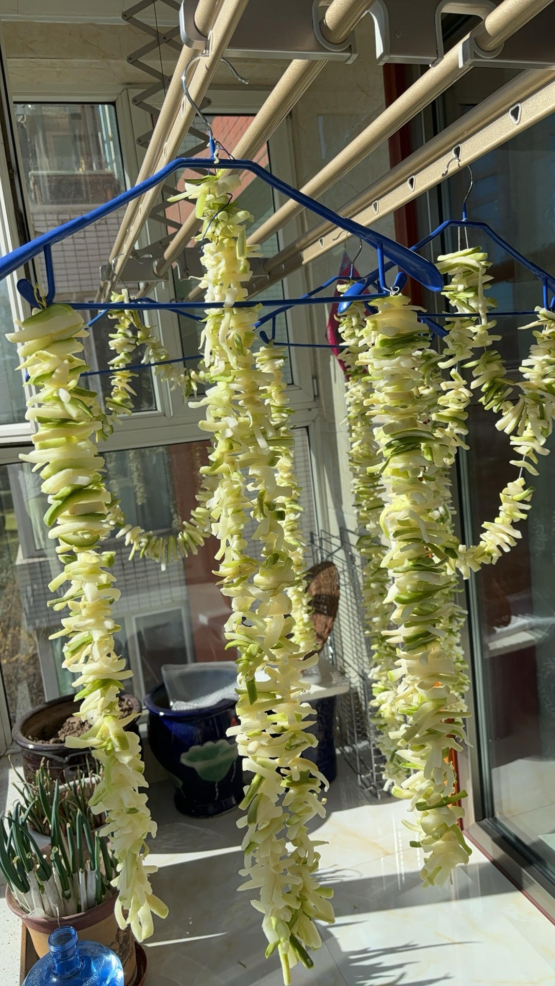 堂妈教你做五香萝卜干