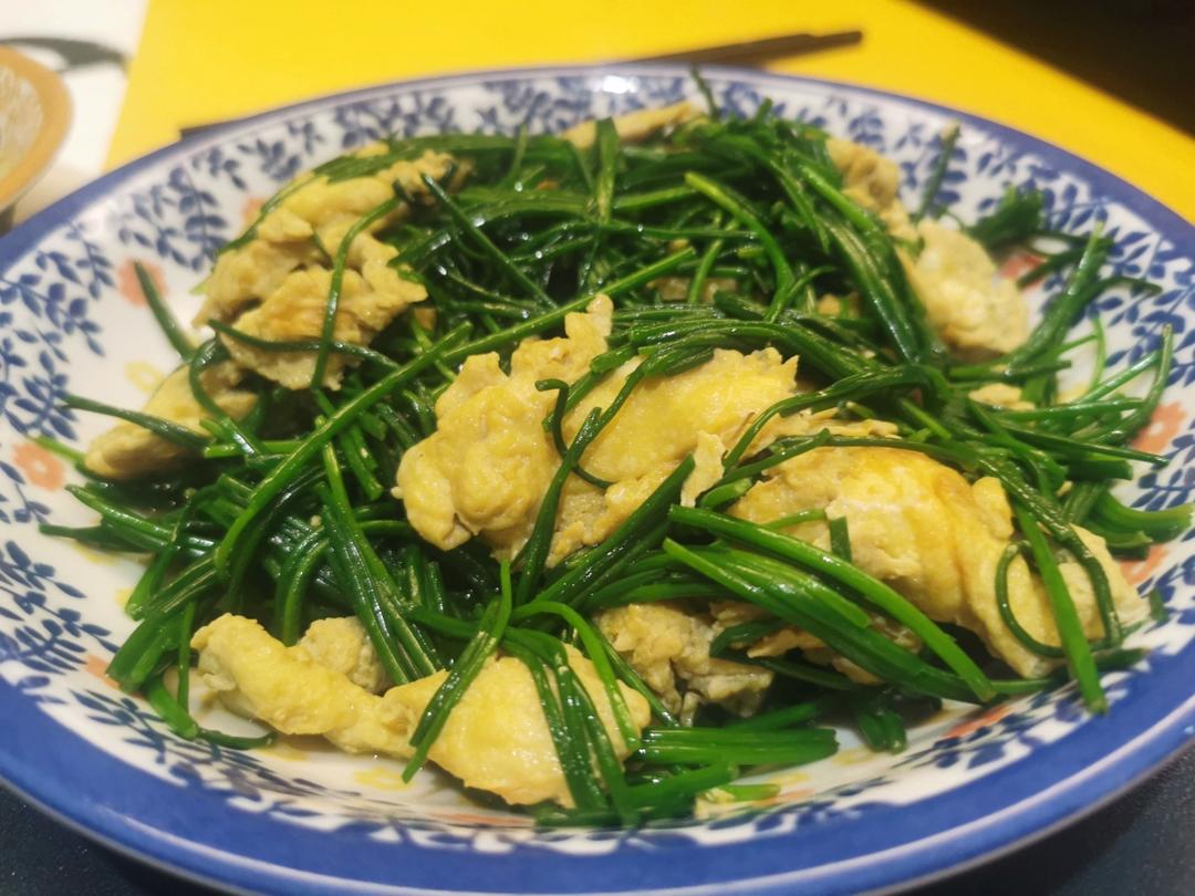 我炒了一盘世上最昂贵的葱：沙葱炒鸡蛋
