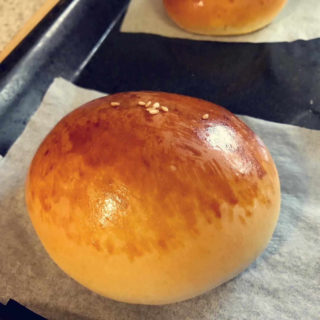 汉堡胚（中种法）