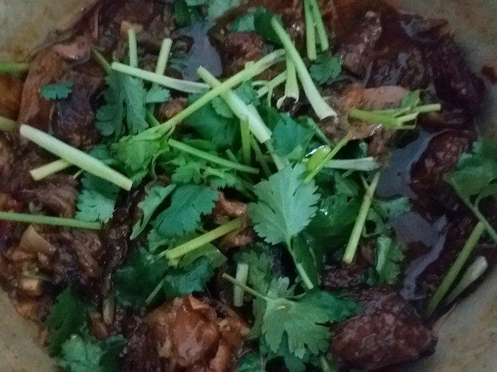 超级无敌好吃的红烧牛肉