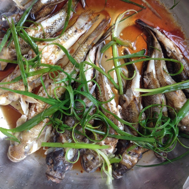 猪宝贝-5做的清蒸河鱼