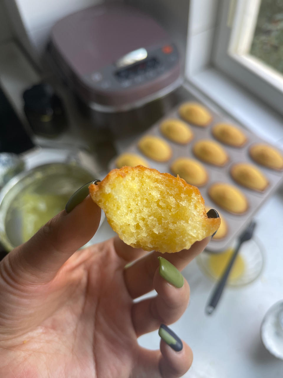 玛德琳（蓝带方）