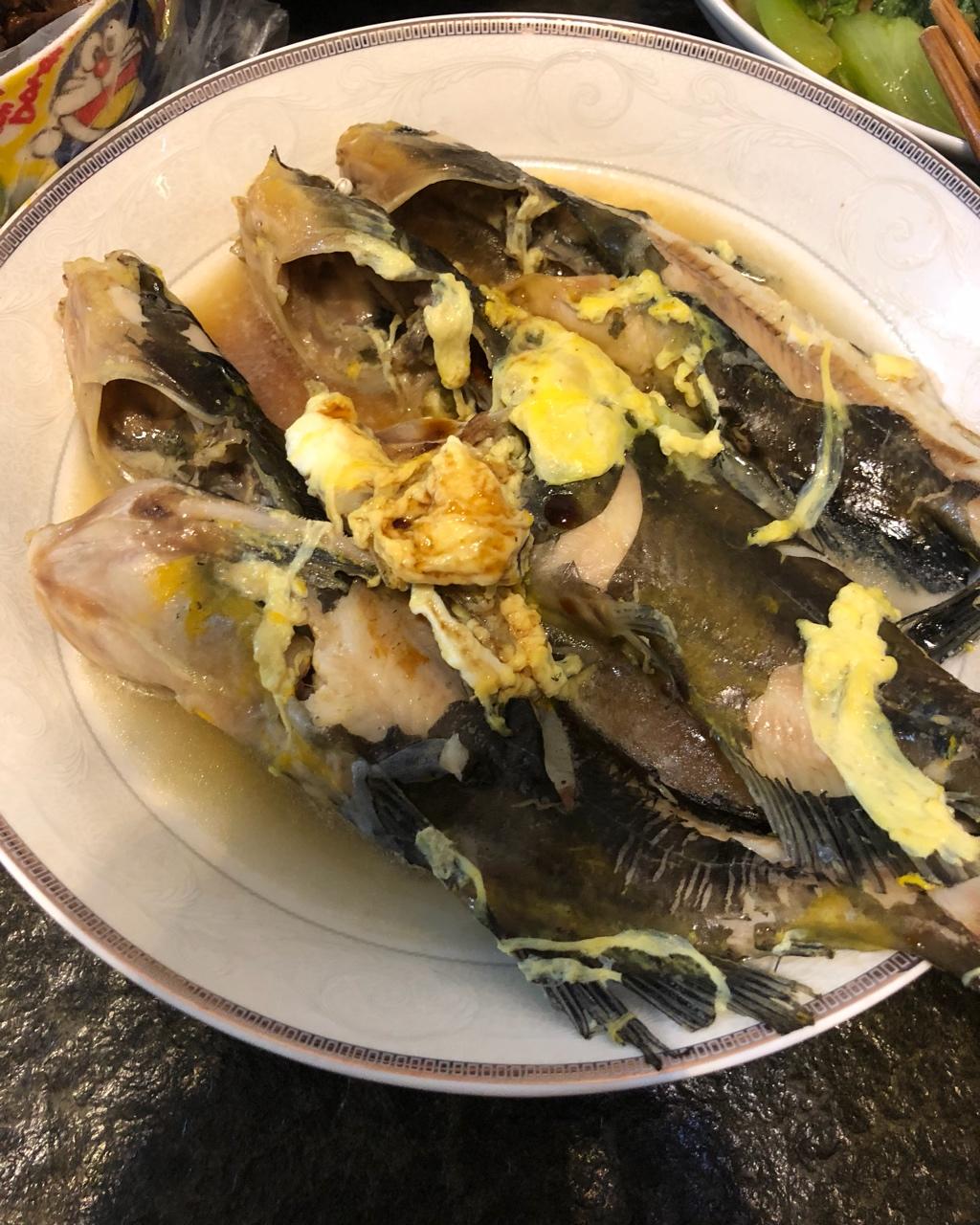 吃不胖的小妮子做的葛鱼汤葛戈燕