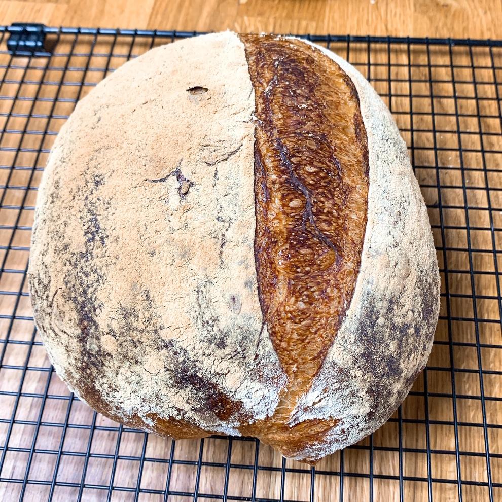 一起玩天然酵种欧包（11. 02更新）