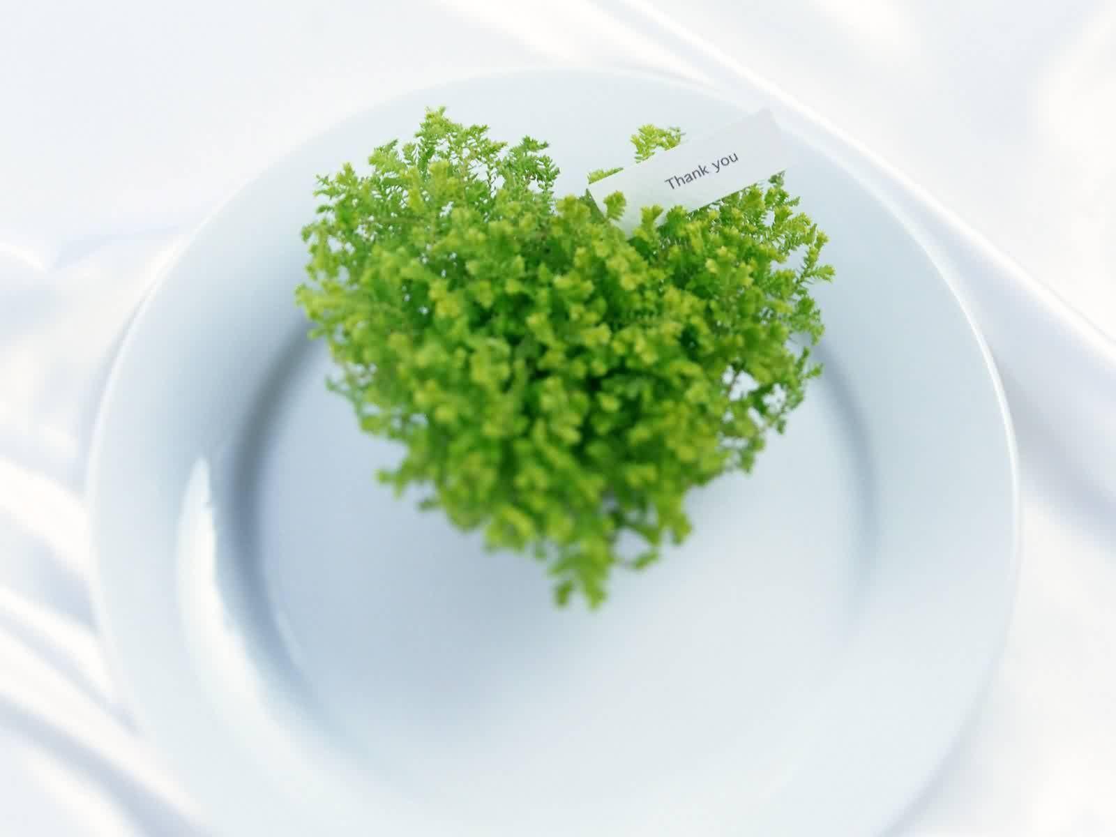 朝饮晨露暮听雨