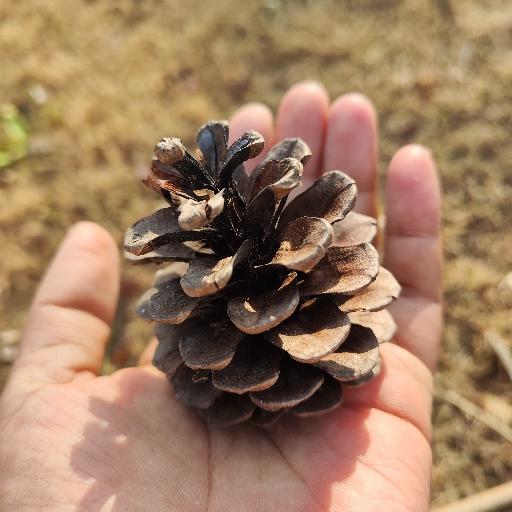 美味蛋糕我最爱