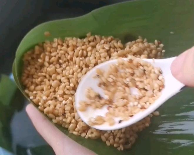 肉粽（附包法视频）保姆级教程的做法
