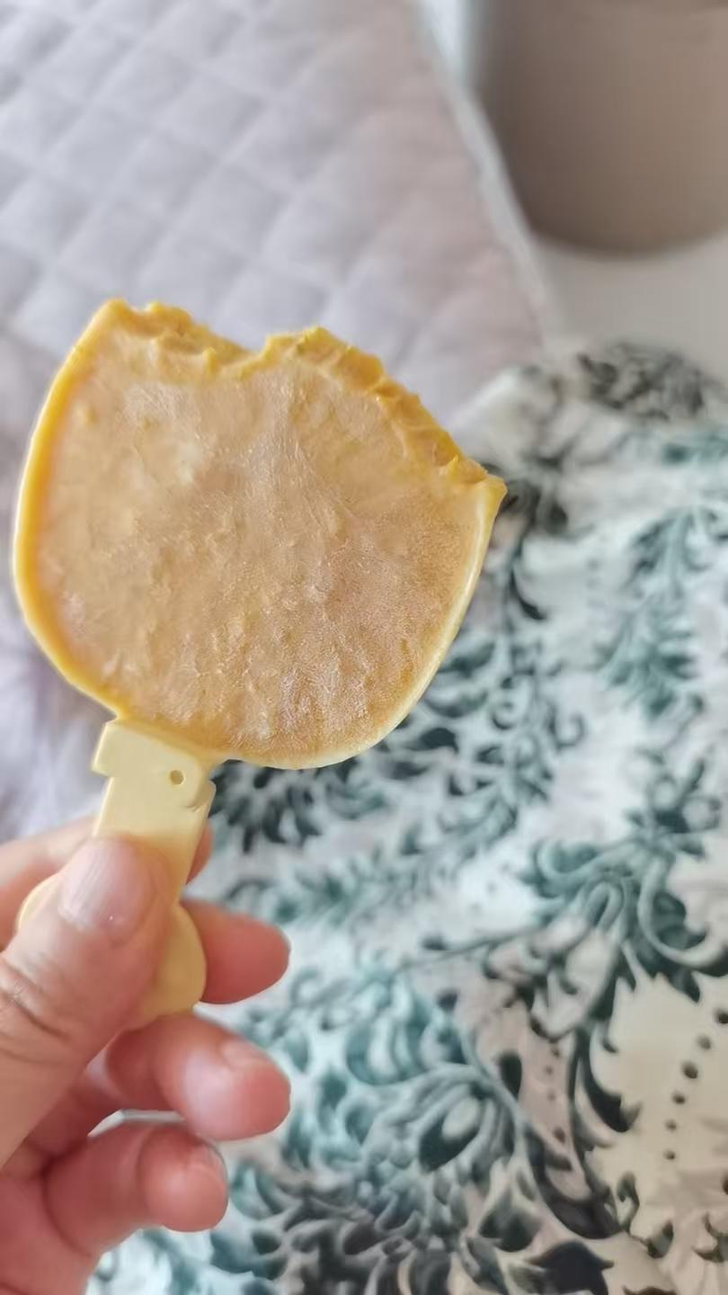 不加一滴水的芒果雪糕