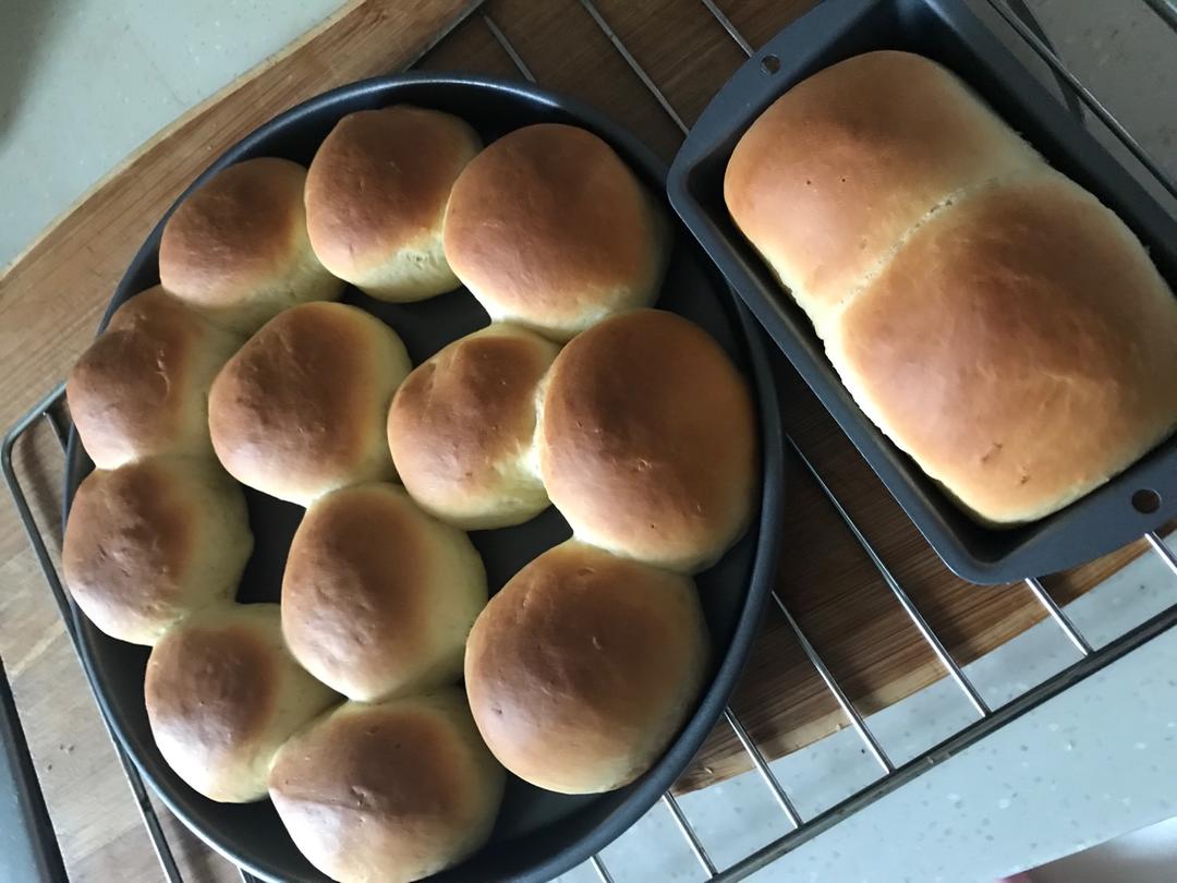 大人小孩都爱不释口的【蜂蜜牛奶小餐包】