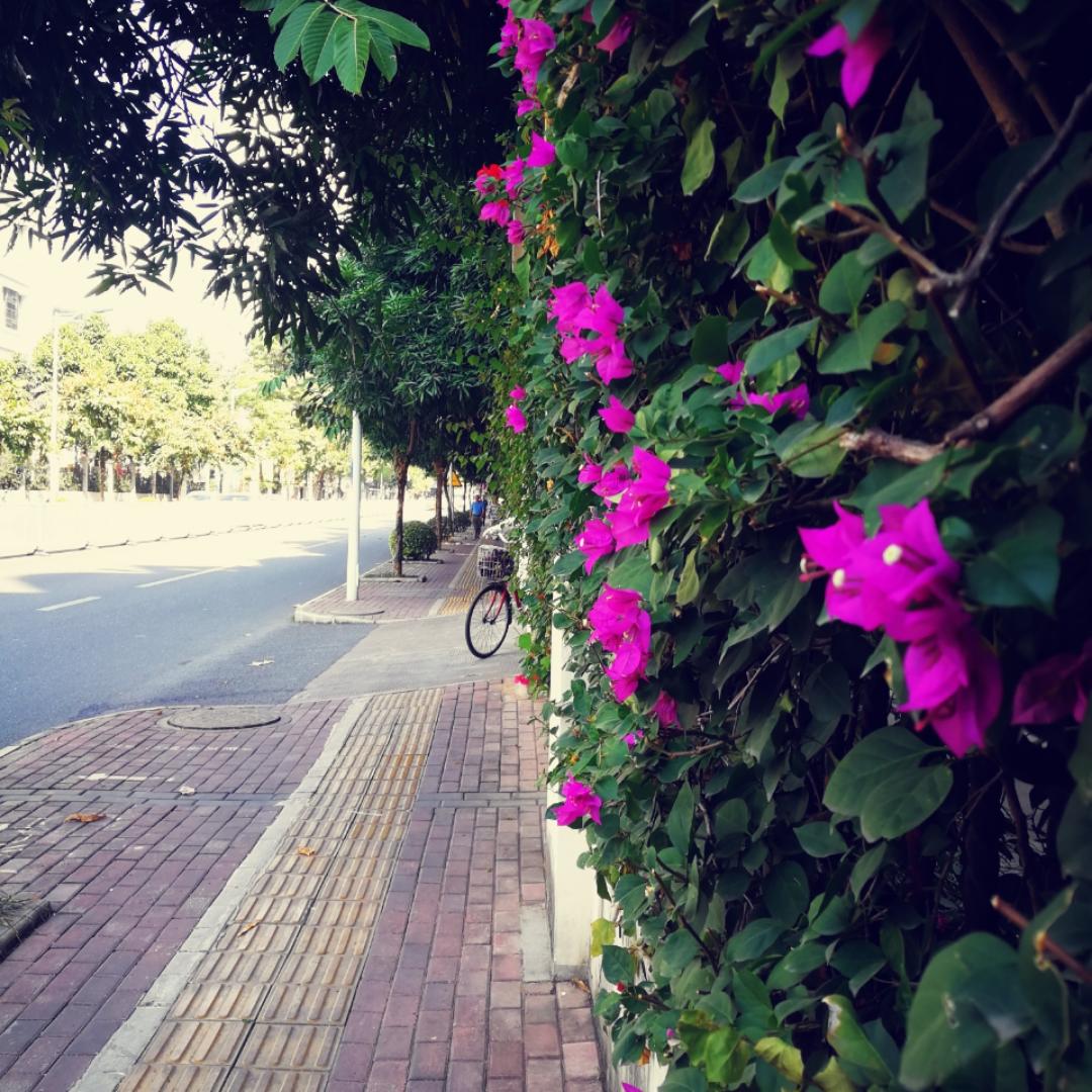 云云云要做甜点