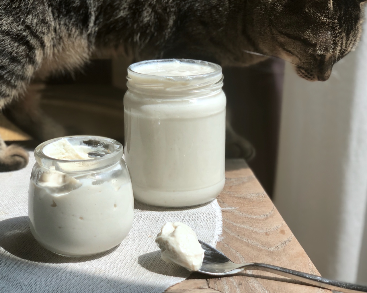 超简单纯素豆浆酸奶 | 三种材料（豆浆粉版）
