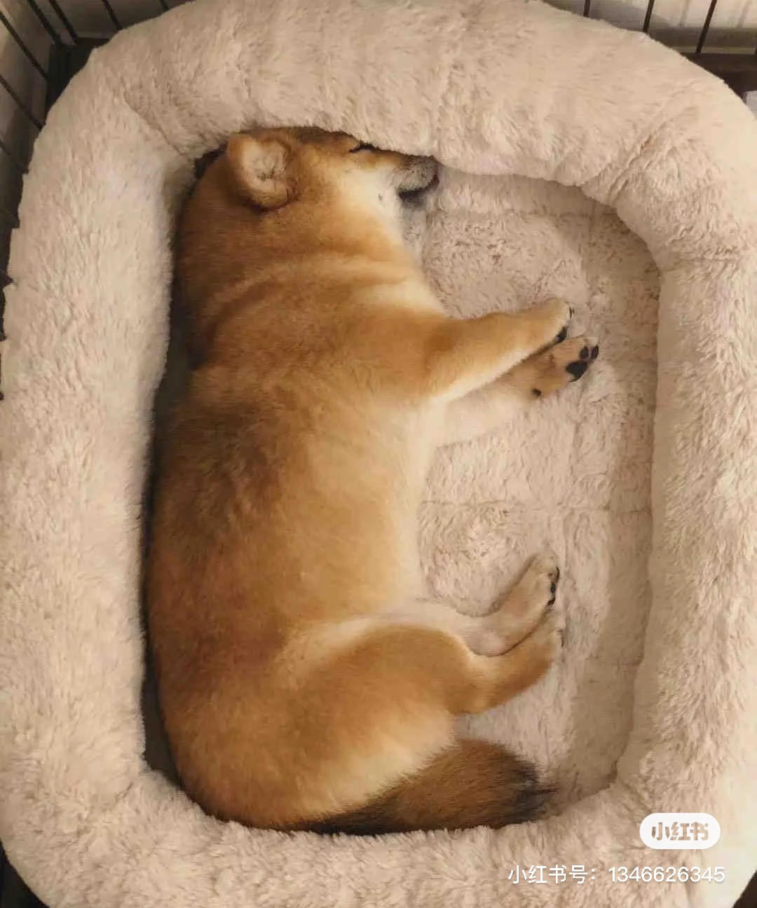 下厨房用户_ew3ba