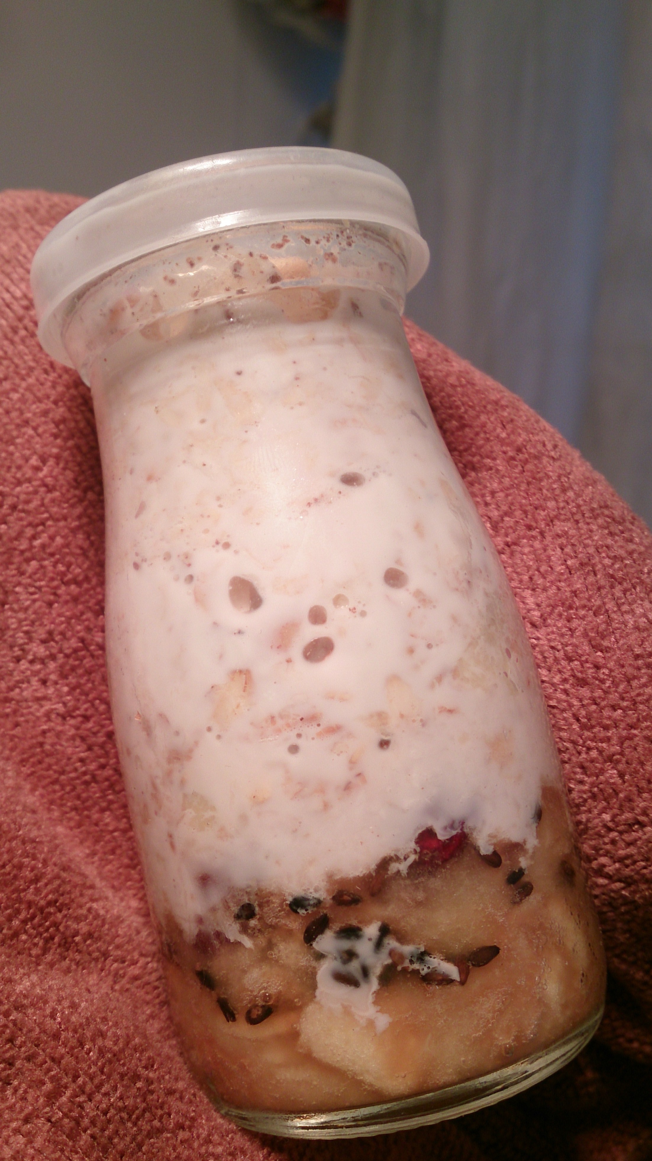 Overnight Oatmeal 隔夜早餐燕麦杯