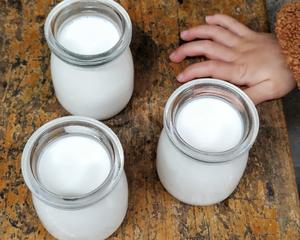 自制原味酸奶（纯牛奶版）的做法 步骤10