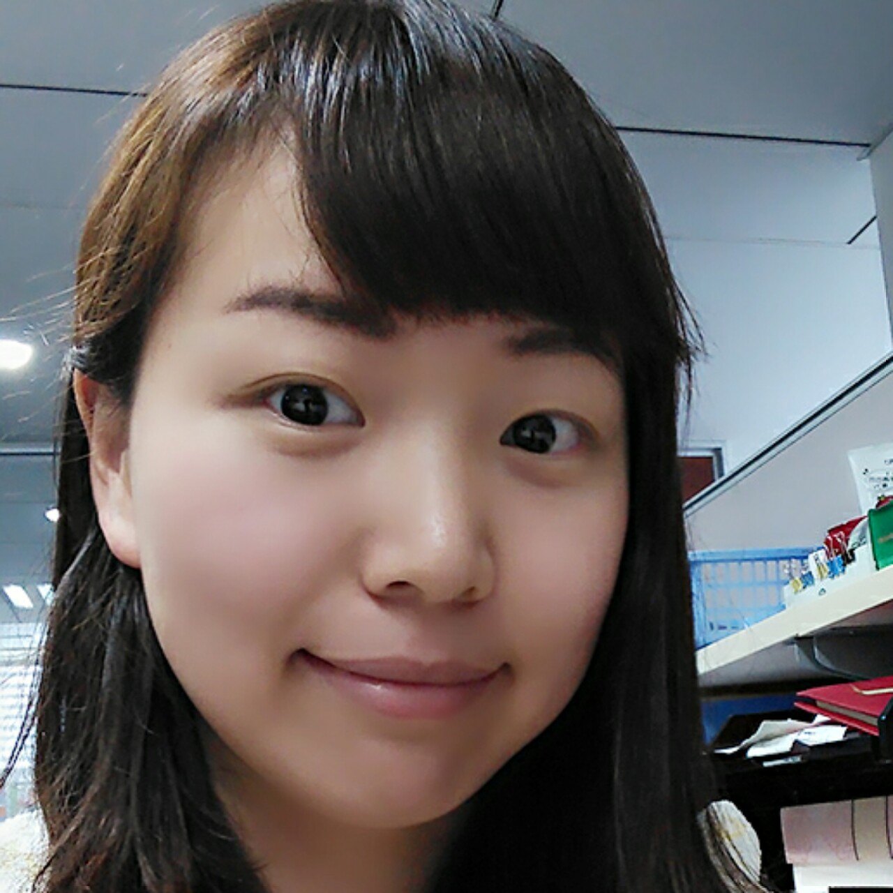 憨憨的豆子