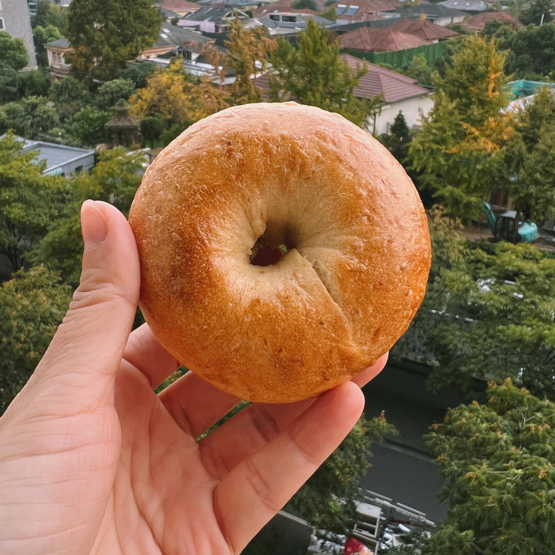 低糖无油燕麦贝果