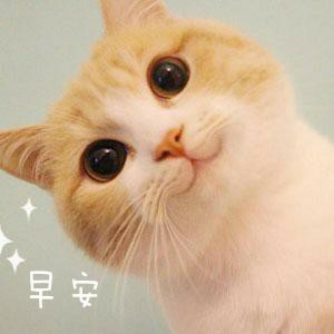 哈哈哈999999