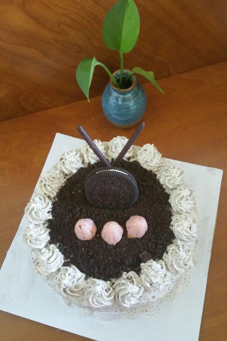 奥利奥咸奶油蛋糕（六寸）