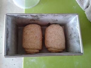 奶油全麥吐司·Whole Wheat Butter Bread Loaf的做法 步骤8