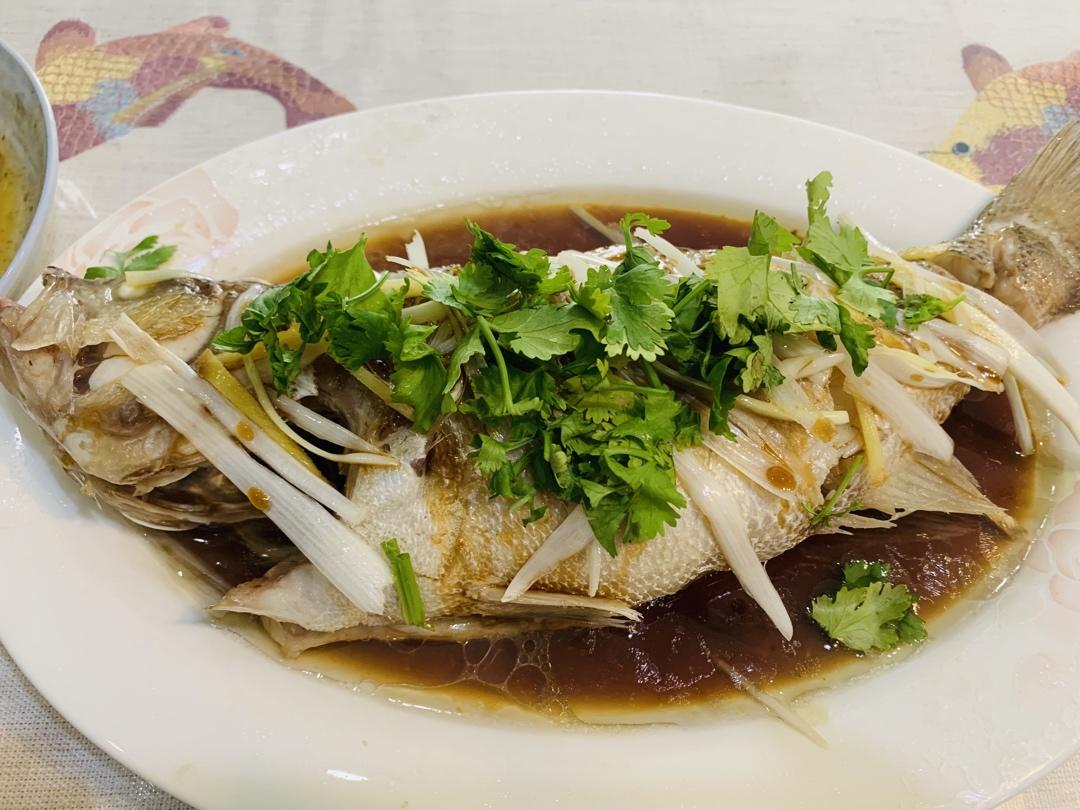 清蒸鲈鱼🐟附去腥秘诀