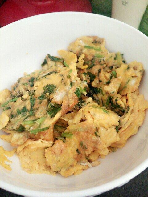 香菜煎蛋的做法步骤图 香菜煎蛋怎么做好吃 家里蹲的一人食 下厨房