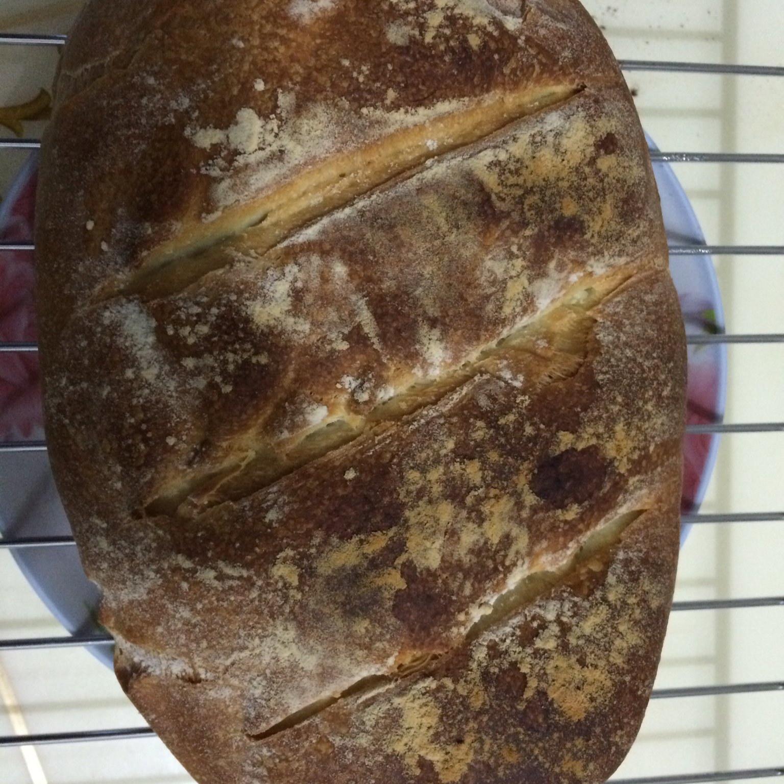 【保罗教你做面包】布鲁姆面包 Bloomer