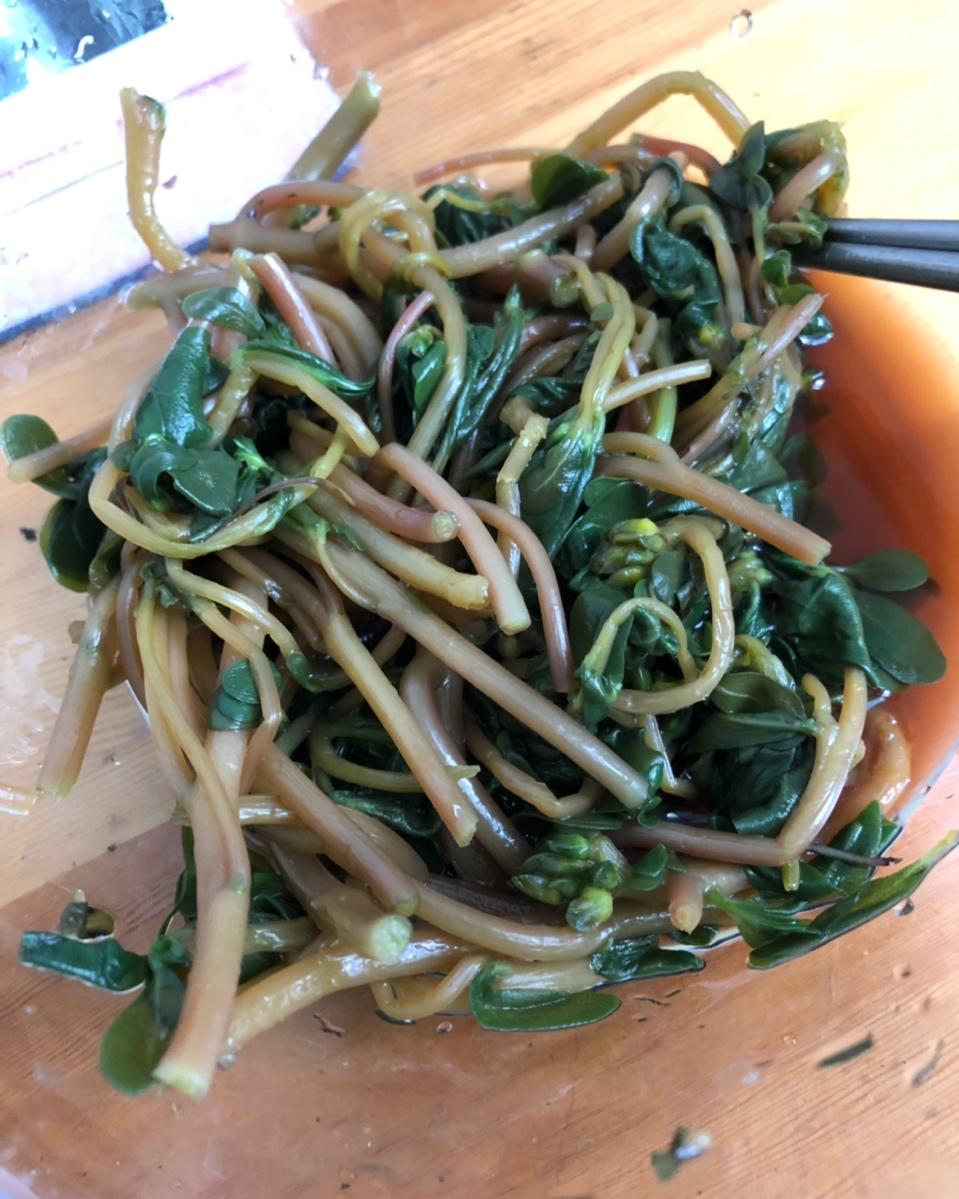 拌马齿苋