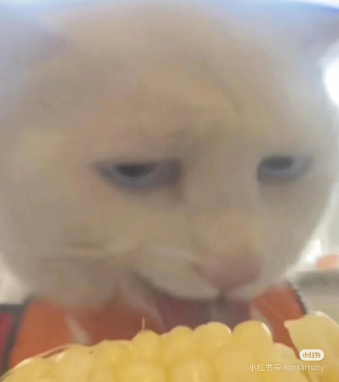 YuM1