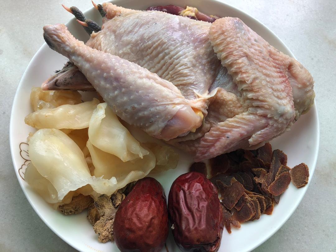 高丽参鱼胶鸡汤