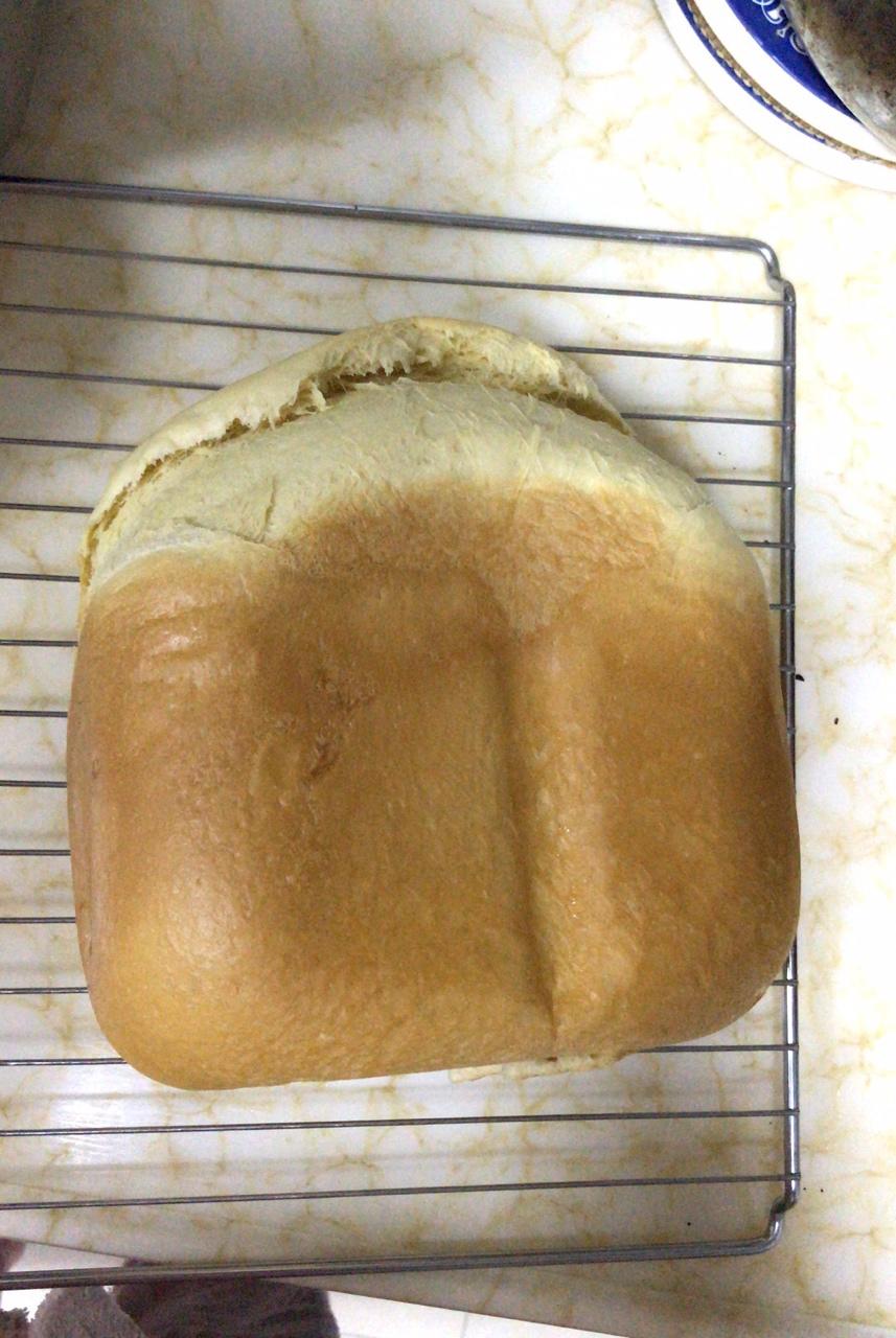 一键式淡奶油吐司面包机版柏翠8500