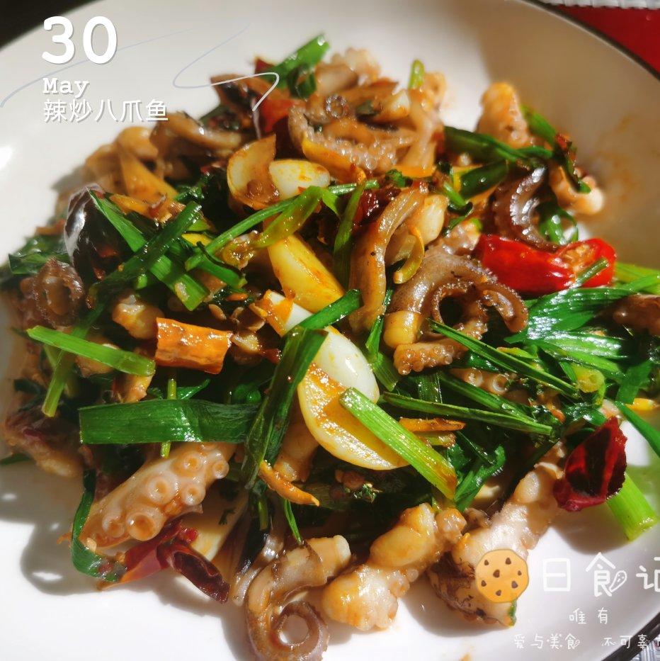 辣炒八爪鱼