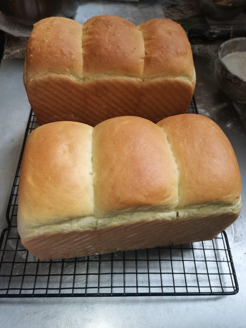 抹茶淡奶油吐司 中种法